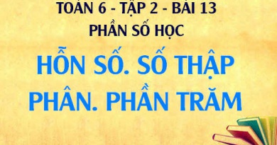 Số thập phân là gì? Phần trăm là gì? Hỗn số là gì? Bài tập vận dụng - Toán 6 tập 2 bài 13